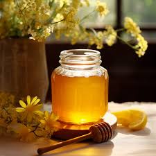 Benefits of Honey with Hot water, Garlic, Lemon, Milk etc.